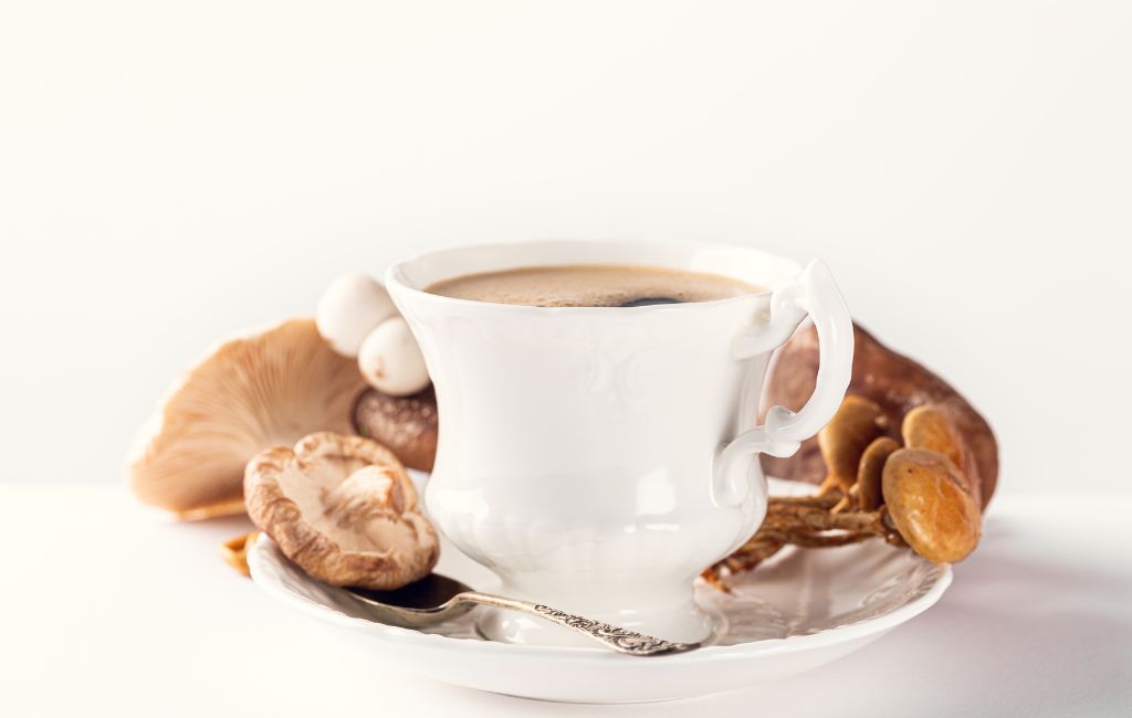 mushroom coffee